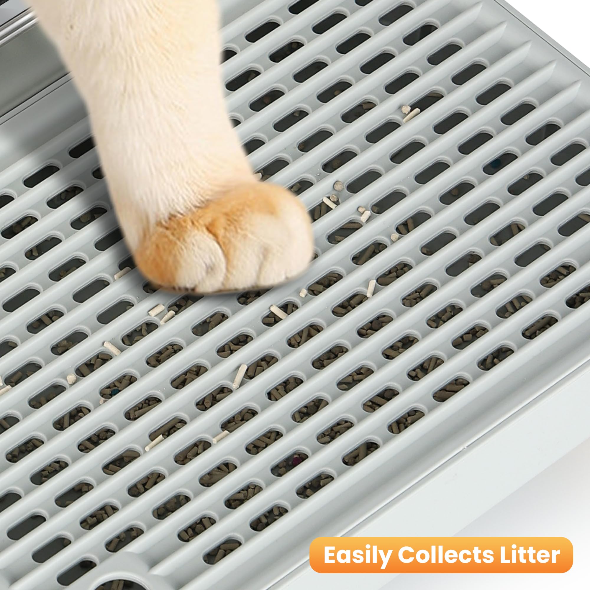 Aothey Litter Box Step in use by a small cat shows gentle incline access.