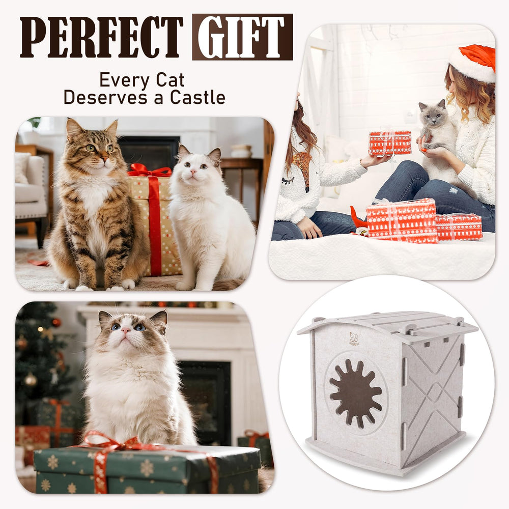 Apasiri cat-house dense felt warmth interior highlights premium insulation for winter comfort.