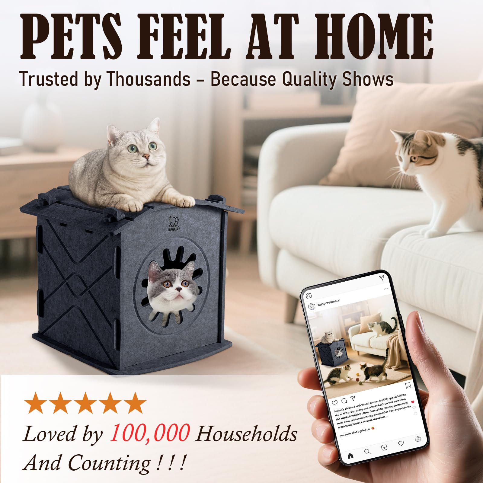 Apasiri cat house multi-cat-usage-35lbs supports shared lounging.