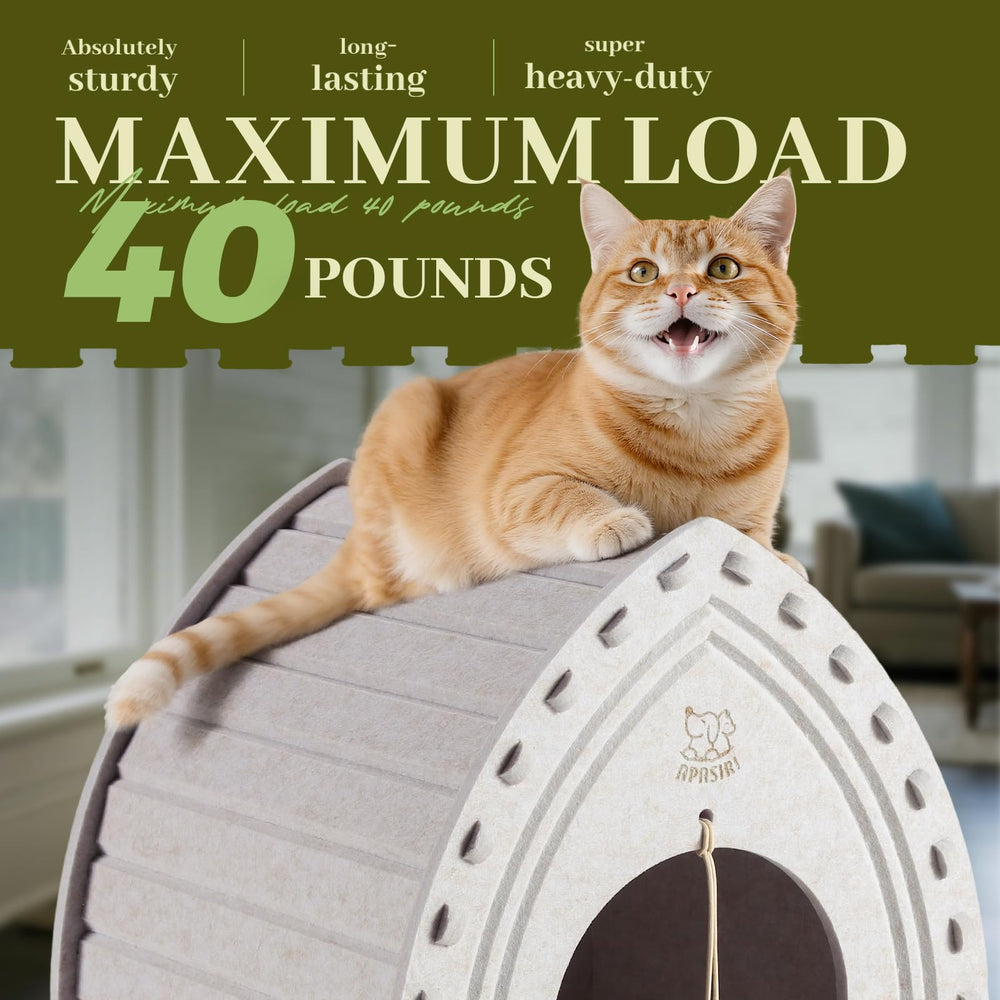 Apasiri Cat House scratch-resistant material protects claws during play and kneading