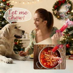 Apasiri dual-texture dog bone with rubber middle for gum massage and engagement.