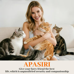 Apasiri cat house scratch-resistant material resists tears for lasting use