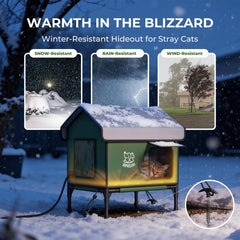 Apasiri outdoor cat house with double doors provides privacy and a secure escape.