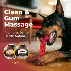 Apasiri superficie de masaje dental para limpieza suave de dientes