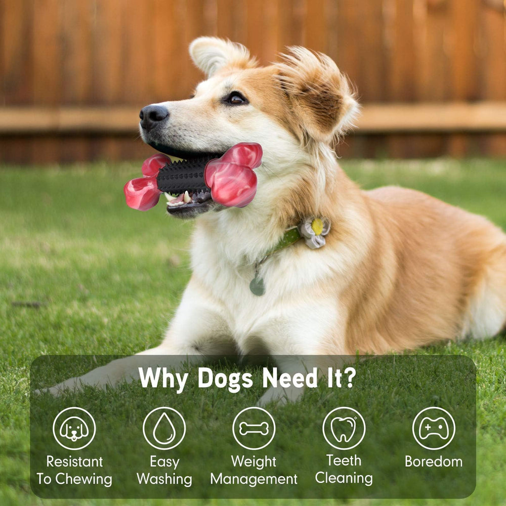 Apasiri two-pack set captures doubled playtime opportunities for pets and owners.