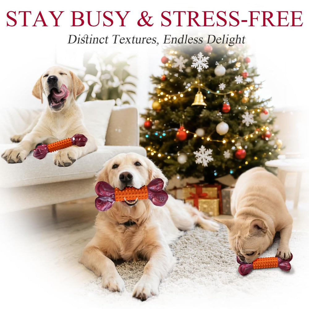 Apasiri two-pack orange dog toys ensure options for shared fetch and rotation.