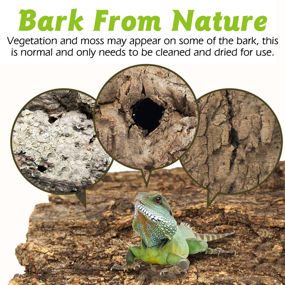 Apatal cork bark is versatile for DIY backdrops and habitat customization