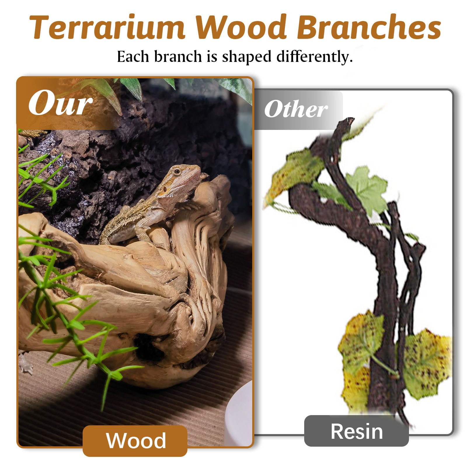 Apatal reptile branch bearded-dragon-enrichment provides vertical space for basking and movement.