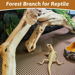 Apatal reptile branch forest-trunk-decor enhances naturalistic habitat aesthetics.
