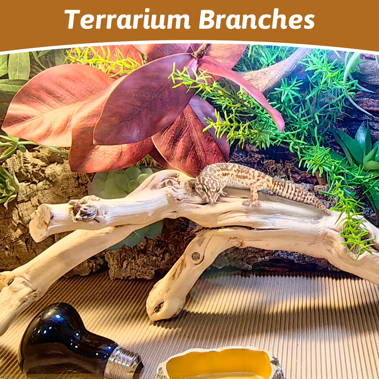 Apatal reptile branch lizard-habitat-decoration helps create engaging terrarium environments.