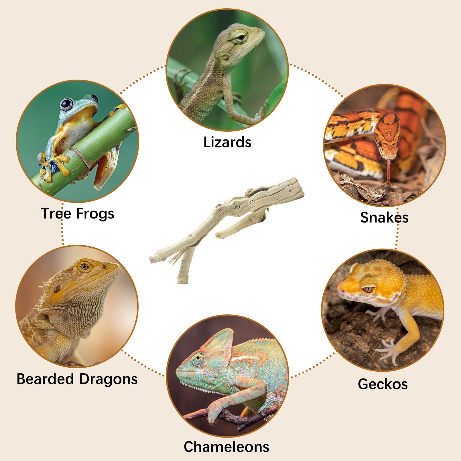 Apatal reptile branch terrarium-decor-details adds dimensional interest and enrichment.