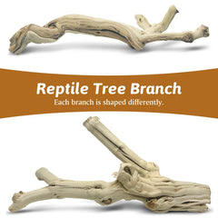 Apatal reptile branch textured-bark-variety offers unique, natural climbing surfaces.