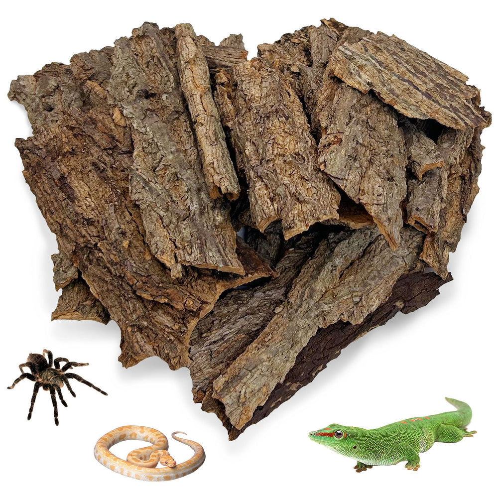Apatal Reptile Cork Bark 1lb — natural substrate for realistic terrarium bedding