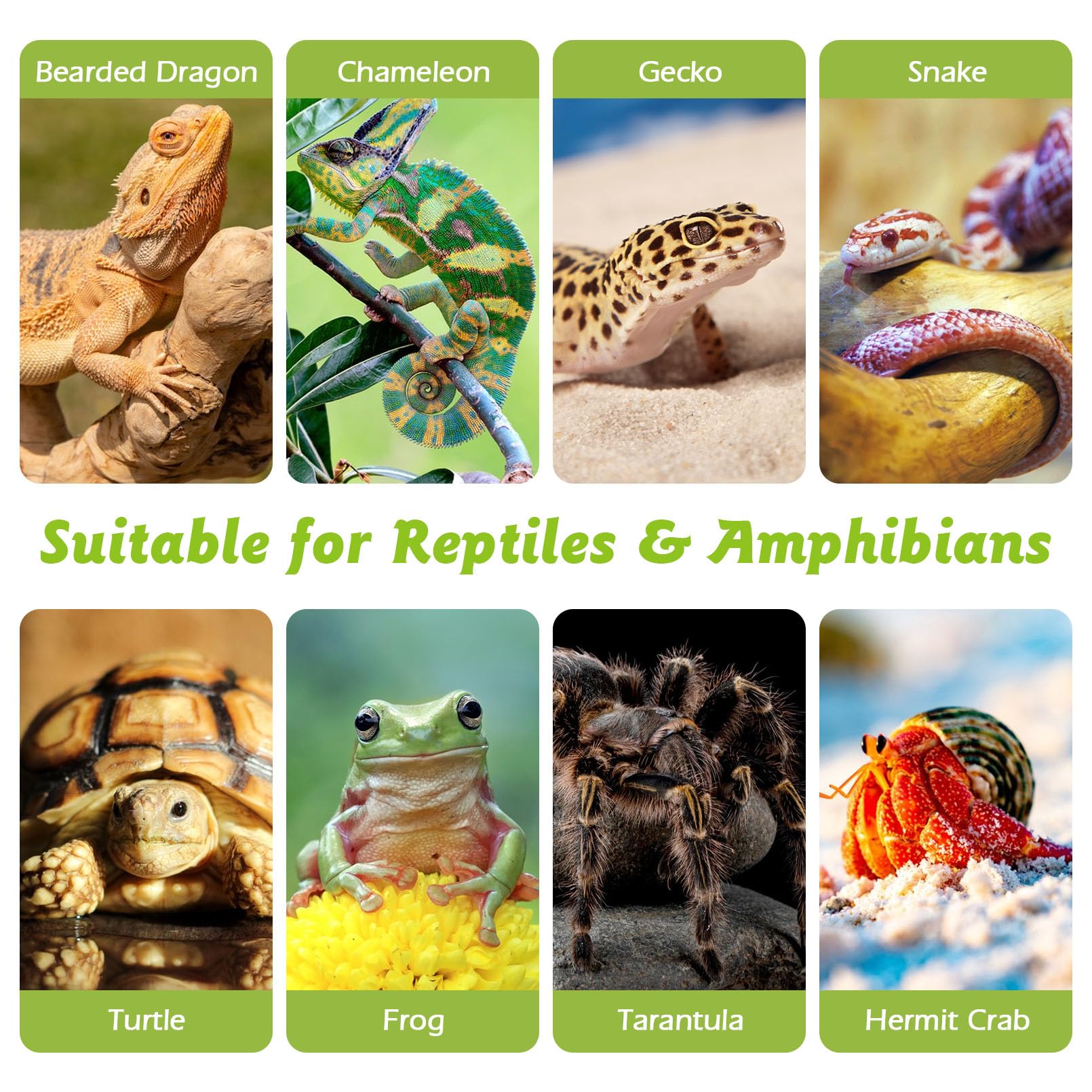 Apatal Reptile Cork Bark bulk 1.5 lb—packaging image showcasing ready-to-use cork for terrariums.