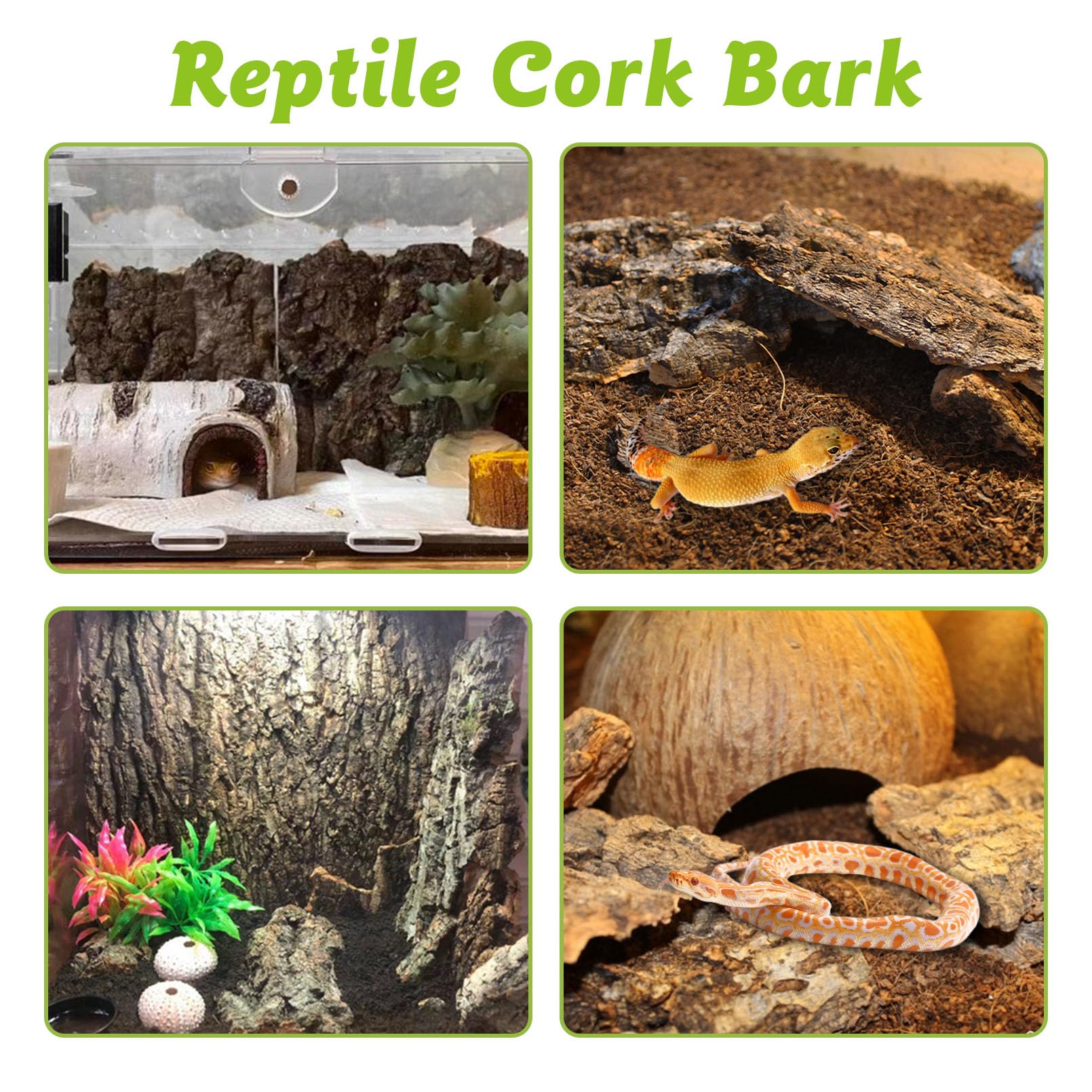Apatal Reptile Cork Bark bulk 1.5 lb—suitable for bearded dragons, lizards, snakes, and more.