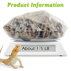Apatal Reptile Cork Bark bulk 1.5 lb—texture closeup highlights natural surface for tactile habitat realism.