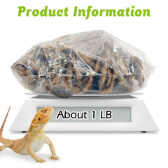 Apatal cork-bark bulk bedding with larger pieces reduces ingestion risk