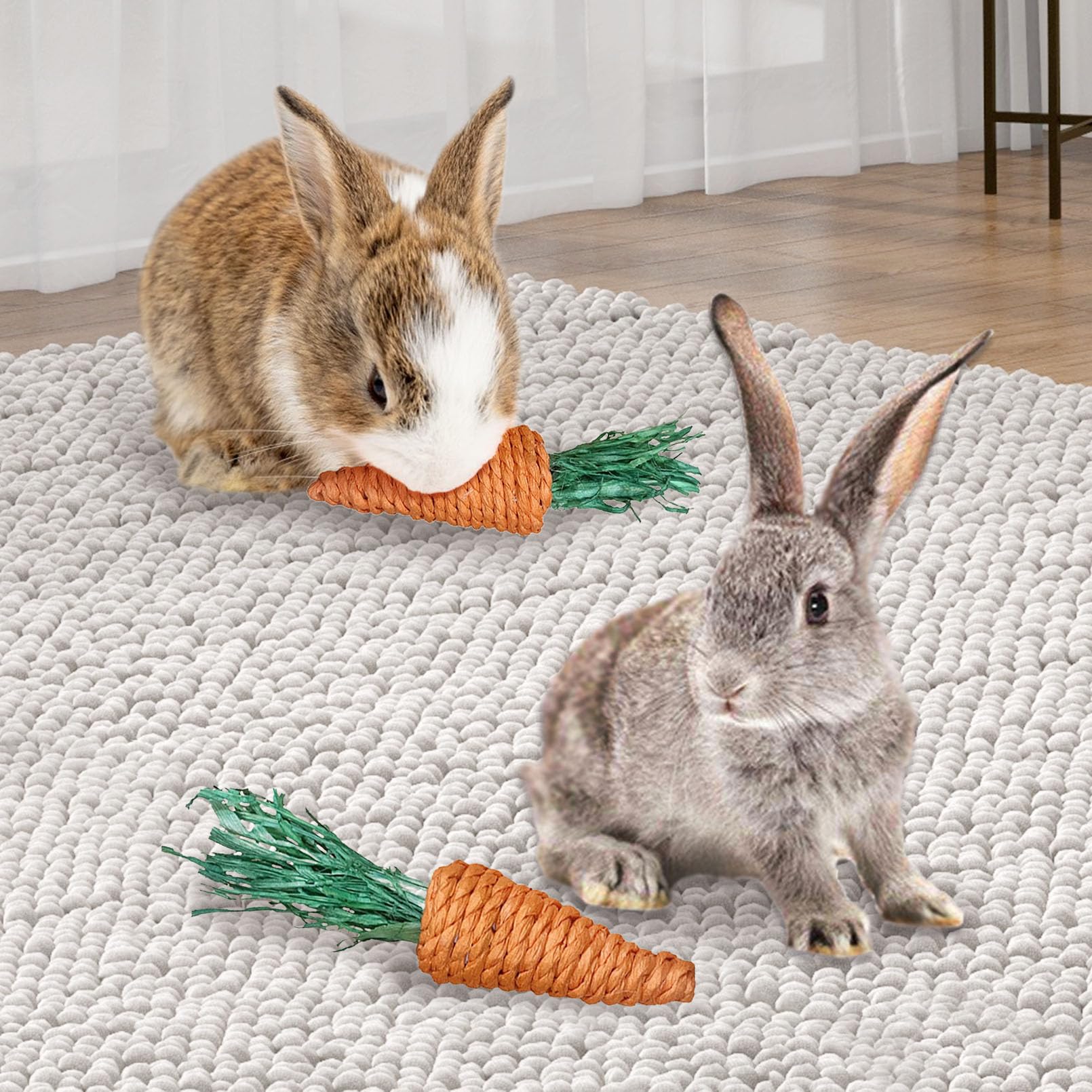 Apatal two-pet play area shows shared engagement for multi-pet homes