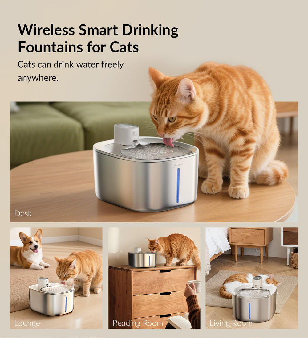 APD APETDOLA 4L capacity fountain with water level window helps monitor hydration at a glance.