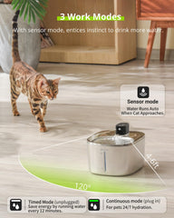 APETDOLA stainless steel finish close-up highlights durable, easy-to-clean surface