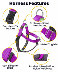 APDEXY Freedom No Pull Harness back-clip view showing comfort and visibility on walks