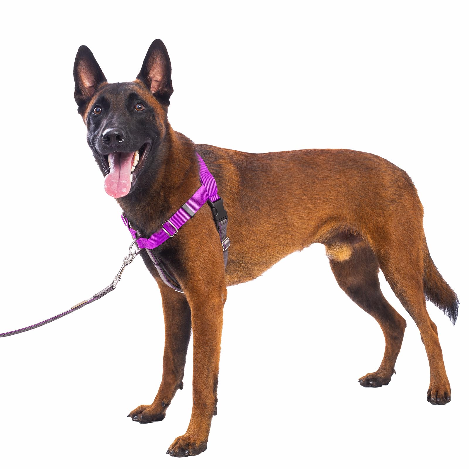 APDEXY Freedom No Pull Harness front-clip close-up highlighting chest webbing for control