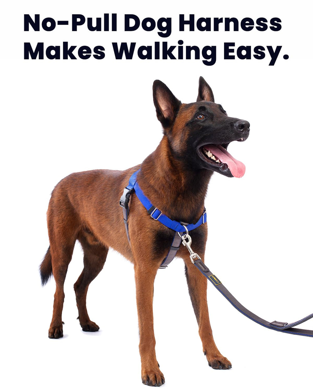 APDEXY Freedom No Pull Harness quick-release buckles for easy on/off