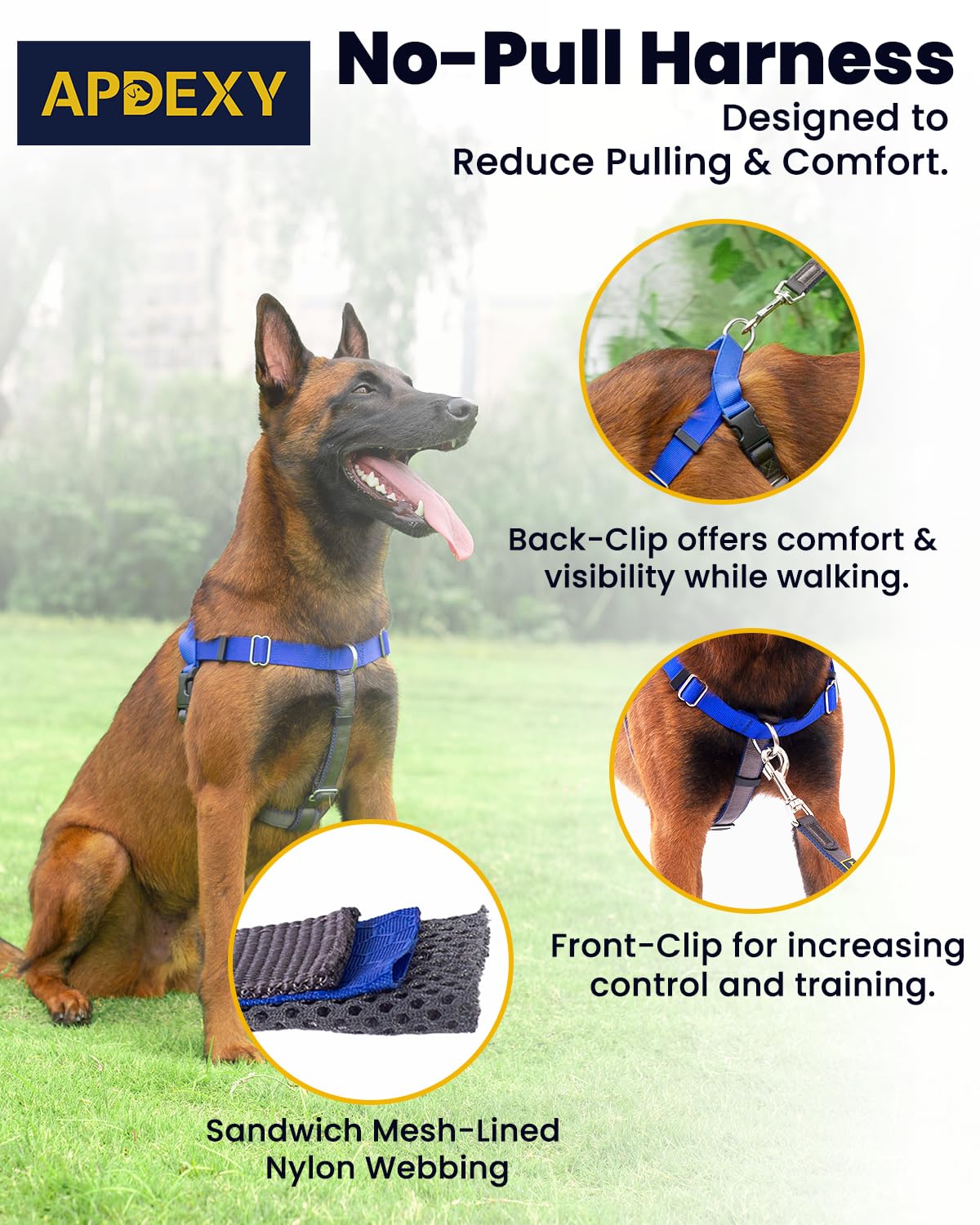 APDEXY No Pull Harness front D-Rings close-up for durability