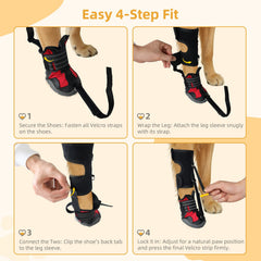 Apedret dog knee pads provide lift and joint protection for gentle mobility.