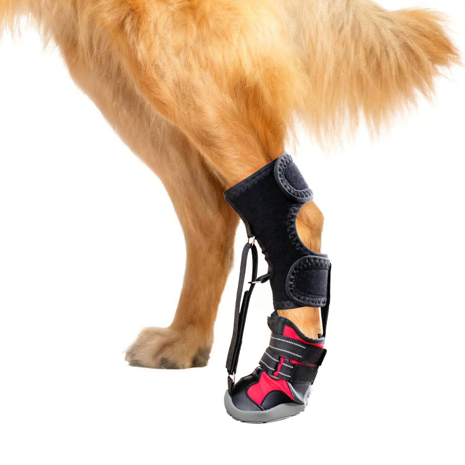 Apedret dog strap-on drop-foot orthotics side view for improved stability during walks.