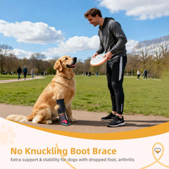 Apedret foot drop brace dog shoes elevates the paw for better alignment.