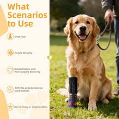 Apedret strap-on dog knee pads with adjustable straps for secure fit.