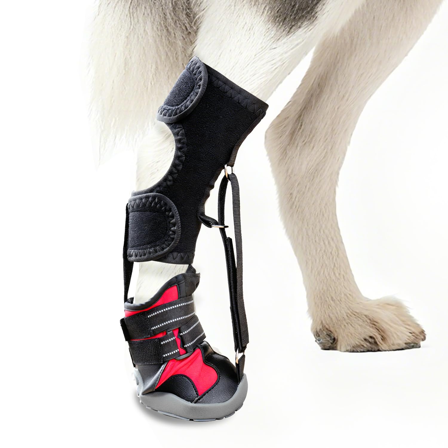 Apedret toe grips senior dog paw-support during walking for steadier steps.