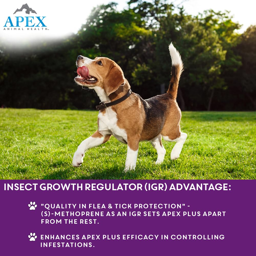 APEX PLUS life-stage guide aiding large dogs dosing