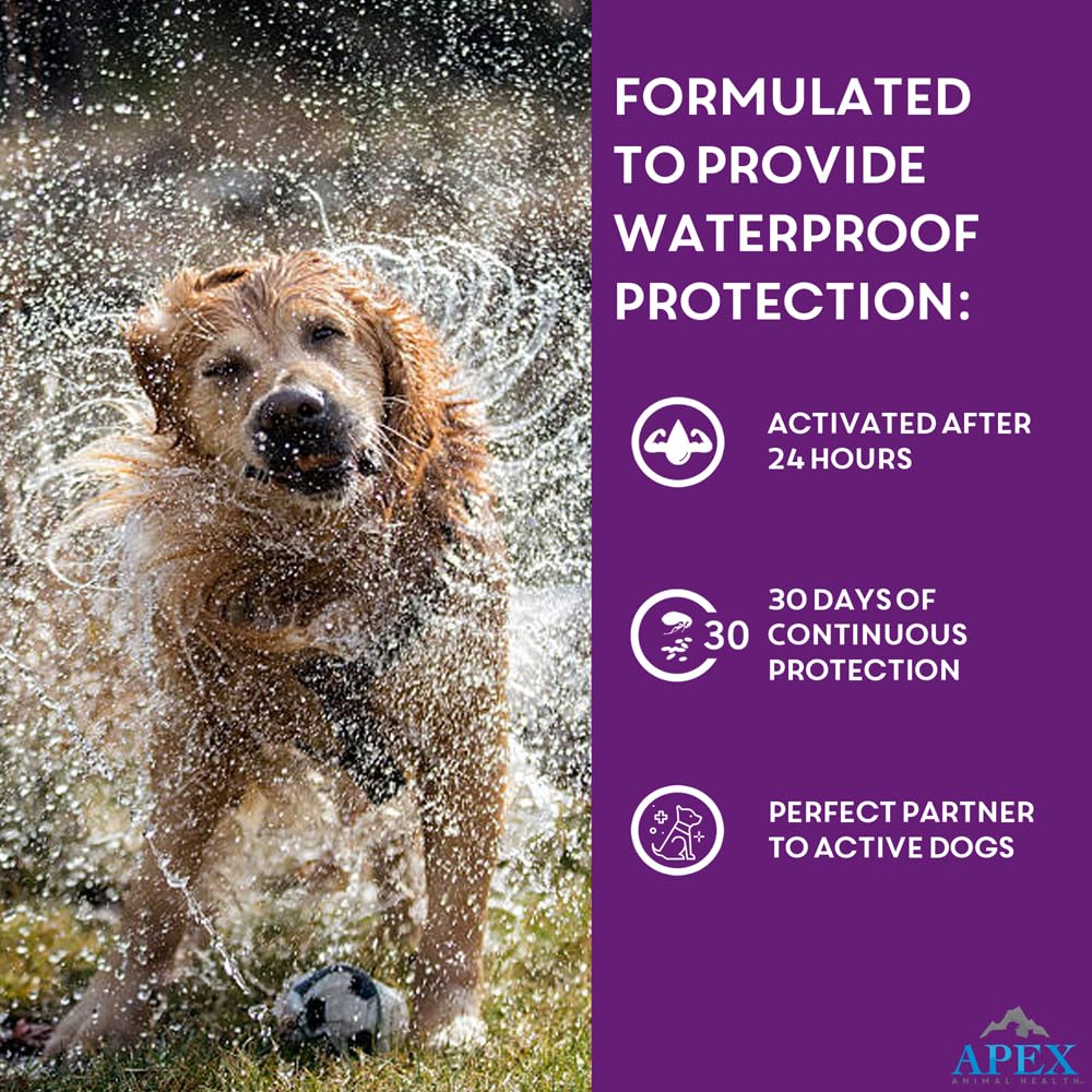 APEX PLUS packaging and dosage guide for large dogs