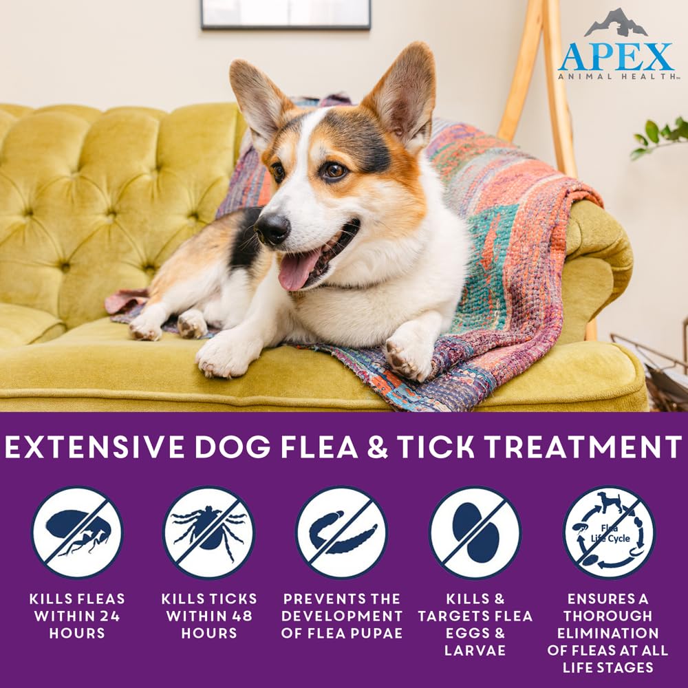 APEX PLUS tick prevention for large dogs showing 30-day protection