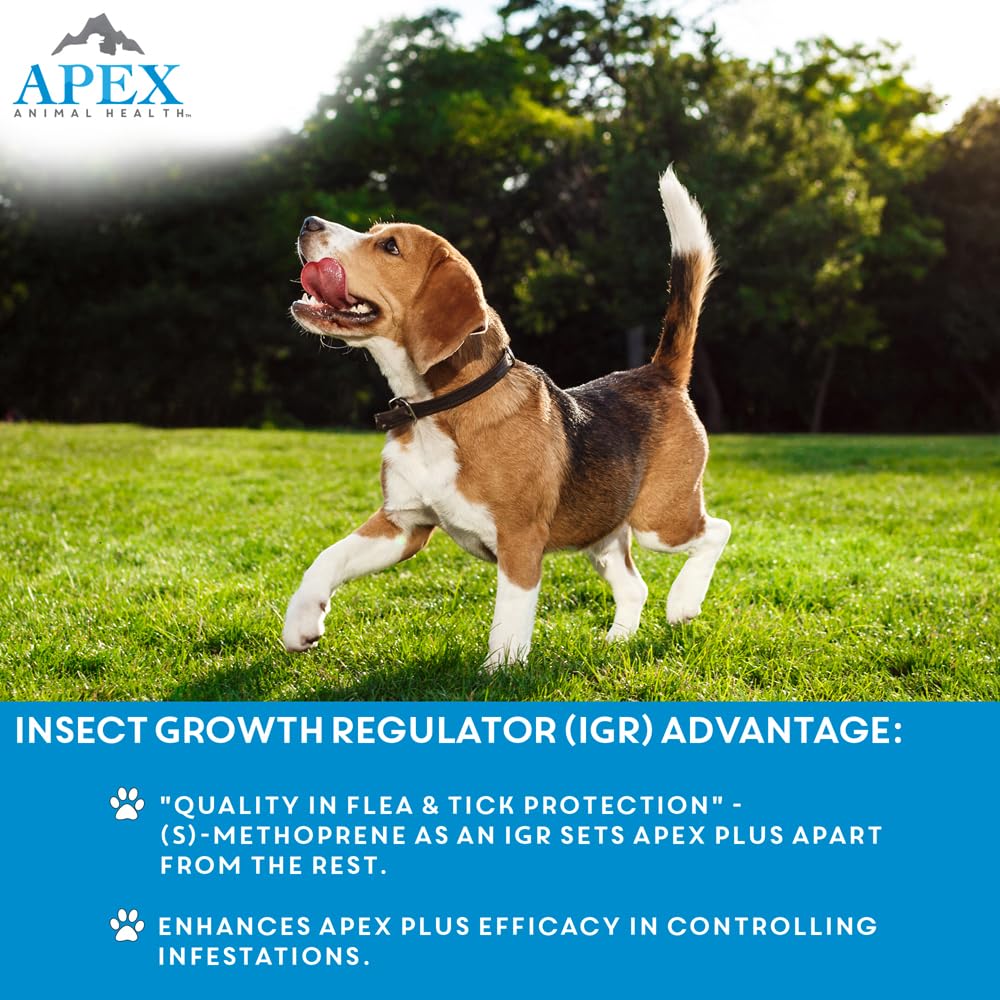APEX ANIMAL HEALTH Apex Plus provides 30 days of protection against fleas and ticks