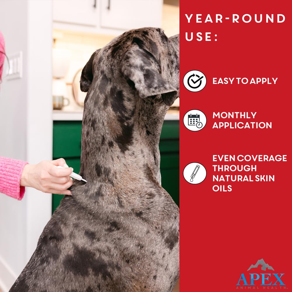 APEX Plus protects an active dog during walks and play.