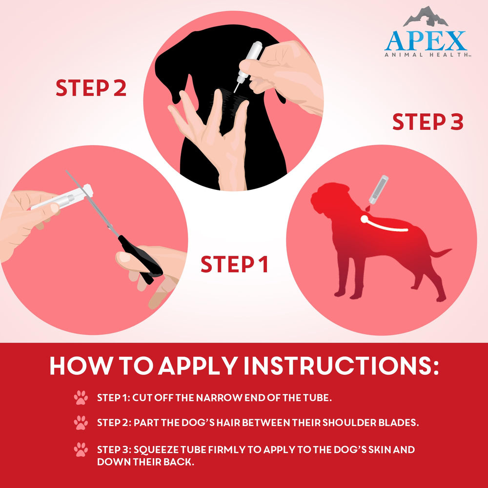 APEX Plus life-cycle diagram illustrating flea control.