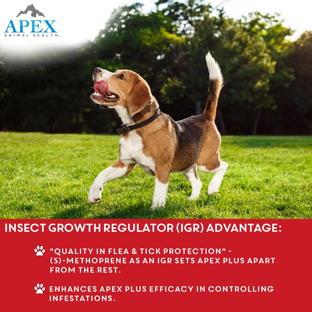 APEX Plus infographic outlining flea and tick prevention benefits.