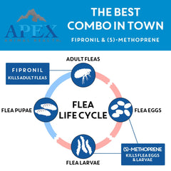 APEX ANIMAL HEALTH Apex Plus medium-size dog weight guide 23-44 lbs