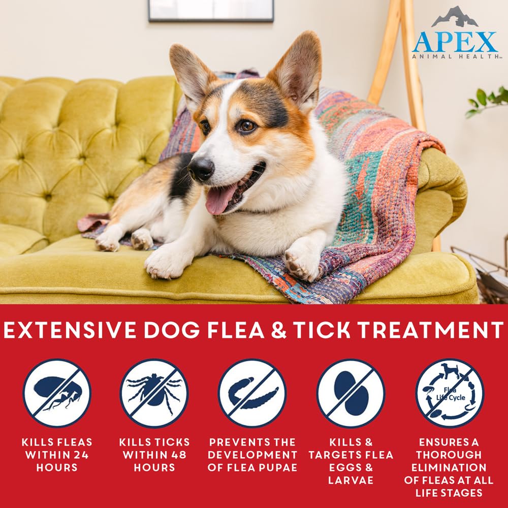 APEX Plus application on a dog's coat for easy monthly use.