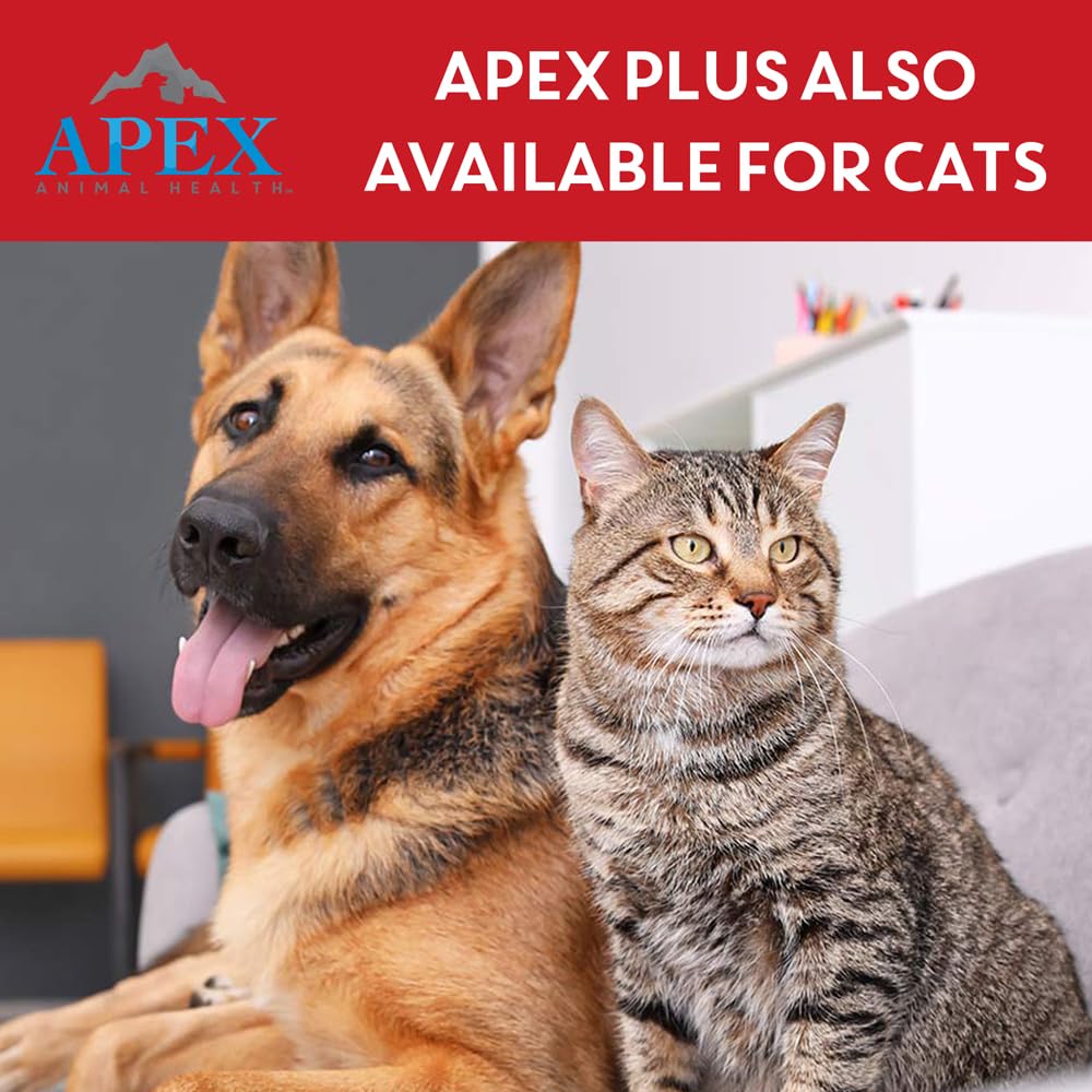 APEX Plus 30-day protection for X-Large dogs after application.