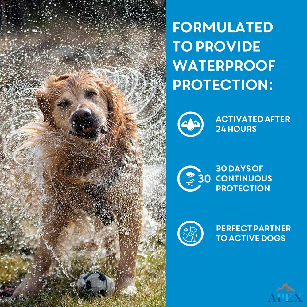 APEX ANIMAL HEALTH Apex Plus supports year-round protection