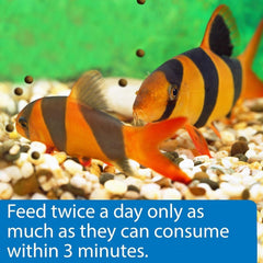 API Bottom Feeder Shrimp Pellets in aquarium water promoting cleaner feeding