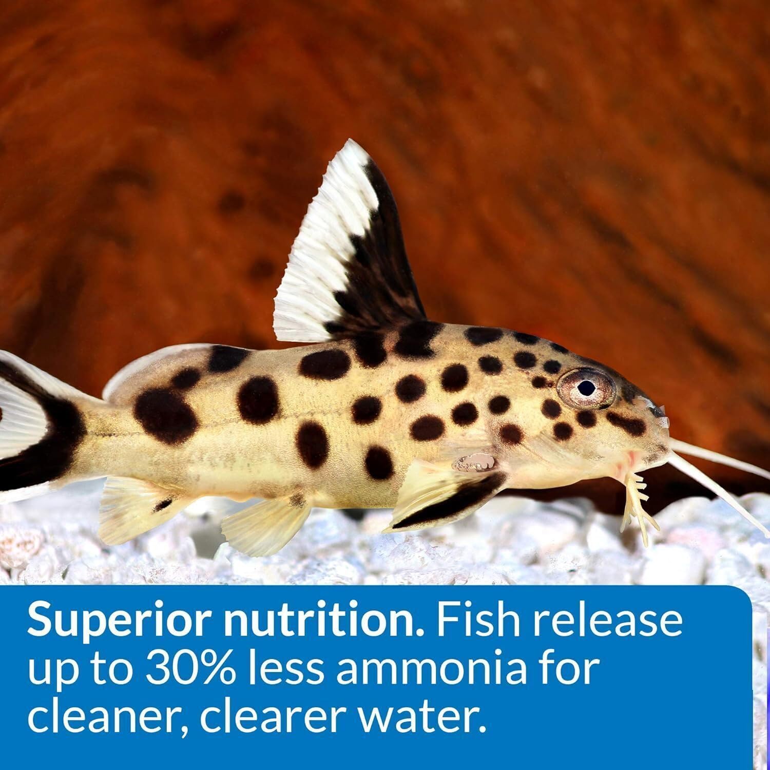 API Bottom Feeder Shrimp Pellets packaging highlighting two-pack convenience