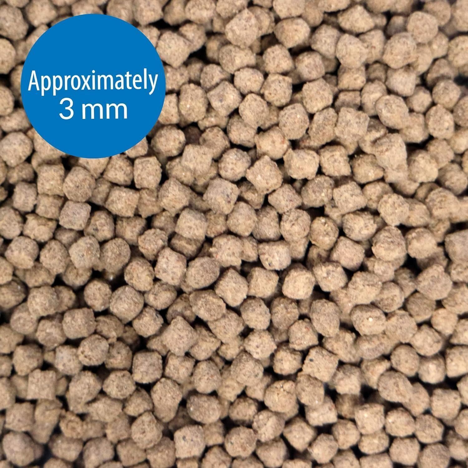 API Bottom Feeder Shrimp Pellets sinking pellets in tank for bottom feeders