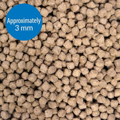 API Bottom Feeder Shrimp Pellets sinking pellets in tank for bottom feeders