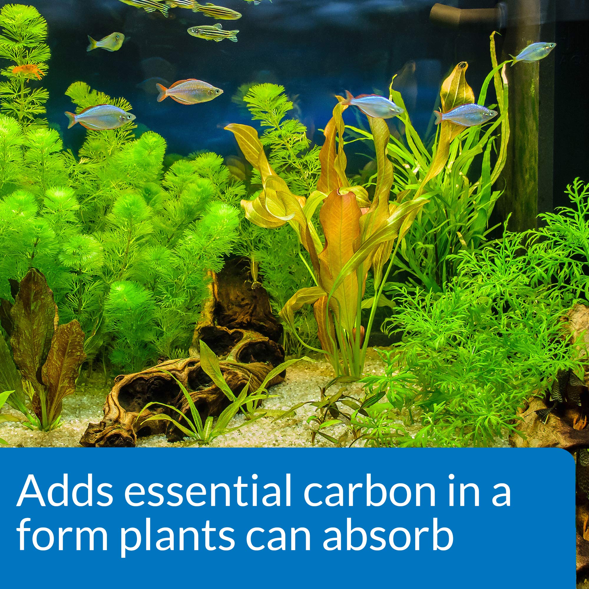 API CO2 Booster, plantas verdes y vibrantes en acuario