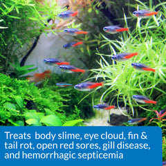 API FIN & BODY CURE dosing in water during bacterial symptoms in freshwater fish.